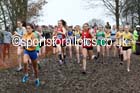 Womens under-17s Inter Counties Cross Country, Prestwold Hall, Loughborough. Photo: David T. Hewitson/Sports for All Pics